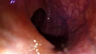 POV: Gulping you into the tip of my transverse