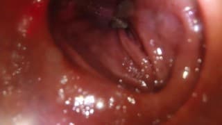 POV - Stretching my hole with a meerkat toy